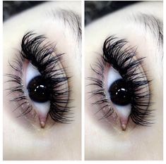 C Curl Lashes Extensions, Textured Hybrid Lash Extensions, Doll Eye Lash Extensions D Curl, Lashes Extensions Classic, Doll Eye Hybrid Lash Extensions, Kitten Eyelash Extensions, Pretty Lash Extensions, History Of Tattoos, Lash Extensions Volume