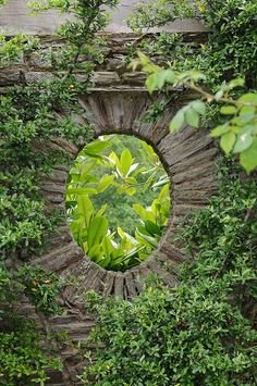 a circular mirror in the middle of some bushes