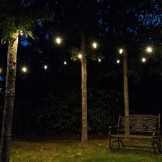 a park bench in the middle of some trees with lights strung from it's sides