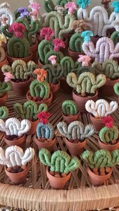 there are many small cactus plants in the potted planters on the wicker table