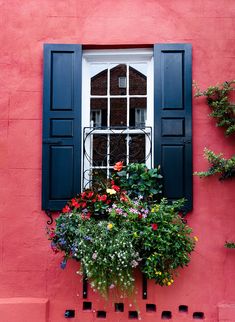 an open window with blue shutters and flowers in the windowsill on a red building