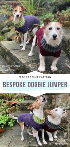 two small dogs wearing sweaters on top of some steps with the words bespoke doggie jumper written below