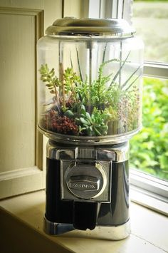 an old fashioned blender with plants in it