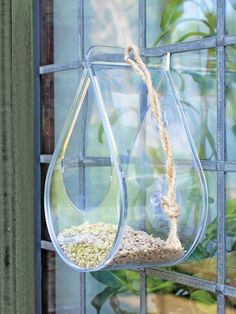 a bird feeder hanging from the side of a window