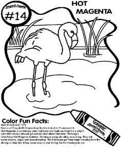 a coloring page with an image of a flamingo and the words hot magenta