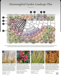 an image of a garden landscape plan with flowers and plants in it's center