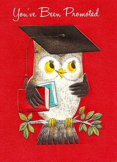 an owl wearing a graduation cap and holding a book with the words you've been pronounced