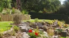 a garden with rocks and flowers in the foreground