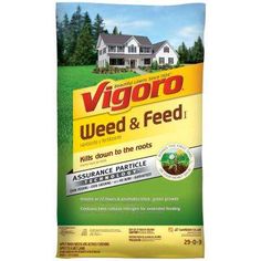 44 lb. 15,000 sq. ft. Weed and Feed Fertilizer Garden Club, Garden Theme, Lush Green, Garden Center, Amazing Gardens, The Outdoors, Home Depot