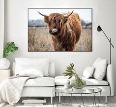 Grazing by Pexels on GIANT ART - black animals Brown Highland Cow, Cottage Core Farmhouse, Scottish Cow, Highland Cow Canvas, Art Cottage, Highland Cow Print, Cow Canvas, Cow Gifts, Oversized Wall Art