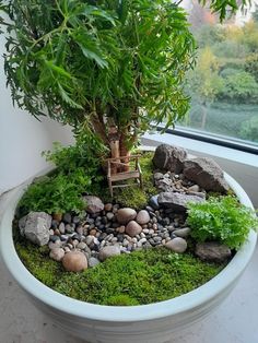 a potted plant with moss and rocks in it on a window sill next to a tree