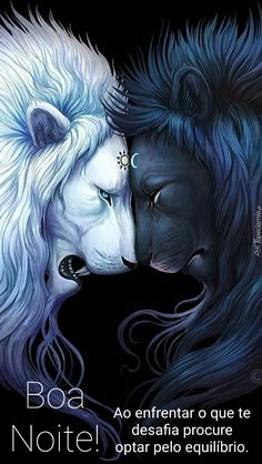 two white lions facing each other with their heads close to one another's face