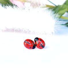 two red ladybugs sitting next to each other on top of a white surface