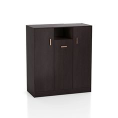 a black cabinet with two doors and gold handles on the bottom, in front of a white background