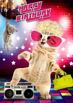 a cat wearing sunglasses and holding a boombox