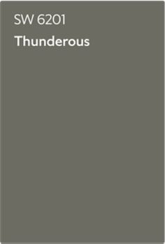 the book cover for s w e01 thunderous