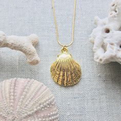 We love this fun and summery, beachy necklace. Answer the siren's song and get one for yourself or someone you love. Would make a great gift for the surfer or beach-lover in your life! A 14k gold plated scallop shell dangles from a lustrous, high quality gold filled snake chain. The perfect summertime accessory! Chain length 16" with an additional 2" extender for a possible length of 18". JEWELRY CARE * Warm water and a soft cloth are the best thing you can do to maintain the beauty of your jewe Beachy Necklace, Seashell Pendants, Beach Necklace, Turquoise Stud Earrings, Jewelry Beach, Beach Necklaces, Seashell Jewelry, Scallop Shell, Jewelry Accessories Ideas