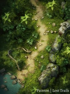 Jungle Border, Deadly Plants, Dnd Campaign, Jungle Scene, Astral Plane