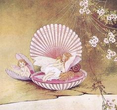 Ida Rentoul Outhwaite, Botanisk Illustration, Arte 8 Bits, 그림 낙서, Vintage Fairies, Arte Sketchbook, Flower Fairies