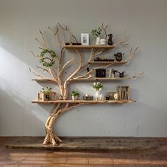 a tree shelf with books and pictures on it