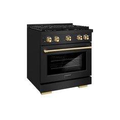 a black oven with gold trim and two burners on the front, and an oven door