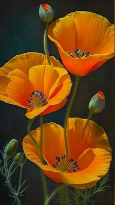 three orange flowers with green stems on a black background