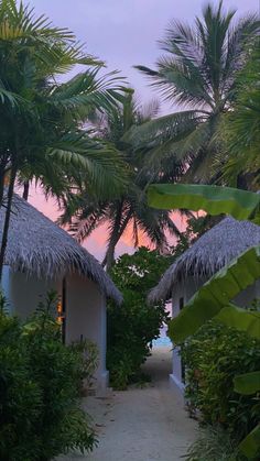 a pathway leading to two huts with palm trees in the foreground and pink sky in the background