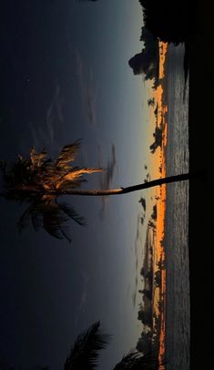 palm trees are silhouetted against the setting sun on an empty beach in front of a body of water