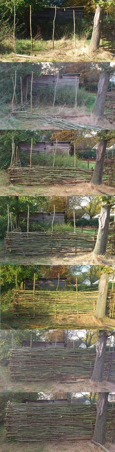 several rows of wooden benches sitting next to each other in a park with trees and grass