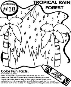 the tropical rain forest coloring page is shown in black and white, with an image of a