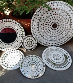 several white plates sitting next to each other on a cement ground near a potted plant