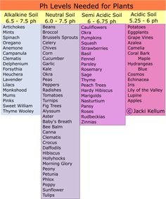 a table with the names and numbers of plants in different colors, including pinks, purple