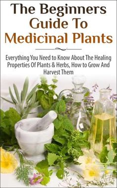 The Beginners Guide to Medicinal Plants: Everything You Need to Know About the Healing Properties of Plants & Herbs, How to Grow and Harvest Them (Medicinal ... Wild Plants, Healing Properties, Medicinal):Amazon:Kindle Store Medicinal Wild Plants, Healing Plants, Herbs For Health, Wild Plants