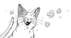 a black and white drawing of a cat yawning