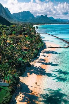 an aerial view of a tropical beach with palm trees