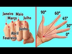 the diagram shows how many fingers are different sizes