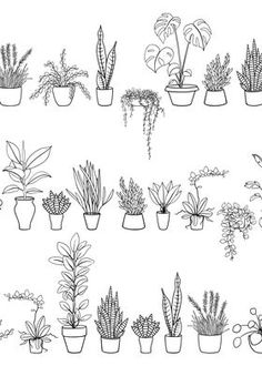 a bunch of potted plants are shown in black and white on a white background