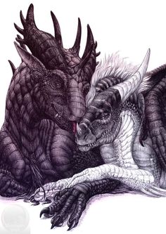 two large black and white dragon laying next to each other