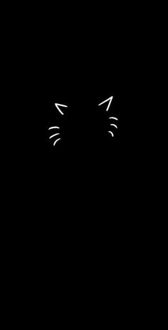 a cat's face is shown in the dark