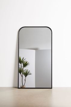 a mirror sitting on top of a table next to a plant