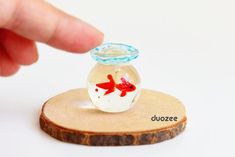 a miniature goldfish in a glass bowl on a wood slice with the word duozee written below it