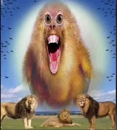 an animal with its mouth open and four lions in front of it, all looking at the camera