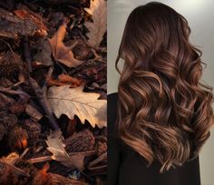 Brown Fall Hair Balayage, Carmel Highlights On Brown Hair Curly 3a, Fall Hair Colors For Curly Hair, Light Brown Reddish Hair, Muted Brown Hair, Caramel Copper Hair, Chestnut Balayage, French Balayage, Bronze Hair Color