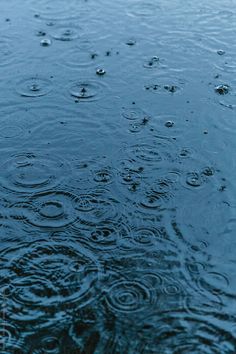 rain drops on the surface of water