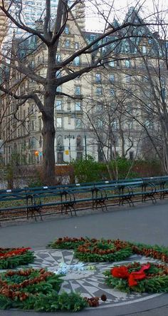 a circular arrangement of flowers in the middle of a park