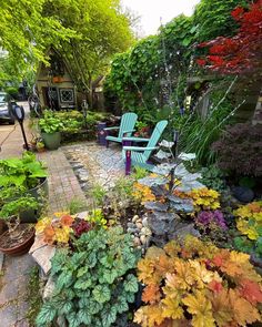 a garden filled with lots of different types of plants