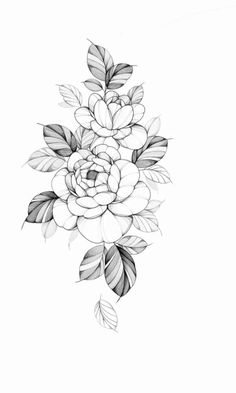 a black and white drawing of flowers with leaves on the bottom half of each flower