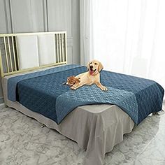 a dog laying on top of a bed in a room