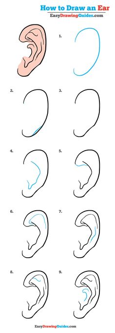 how to draw an ear step by step drawing instructions for kids and adults with pictures