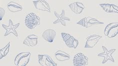 an image of seashells drawn in blue ink